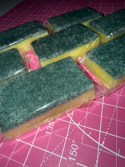 Home cleaning sponges